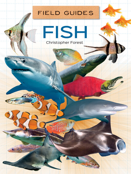Title details for Fish by Christopher Forest - Available